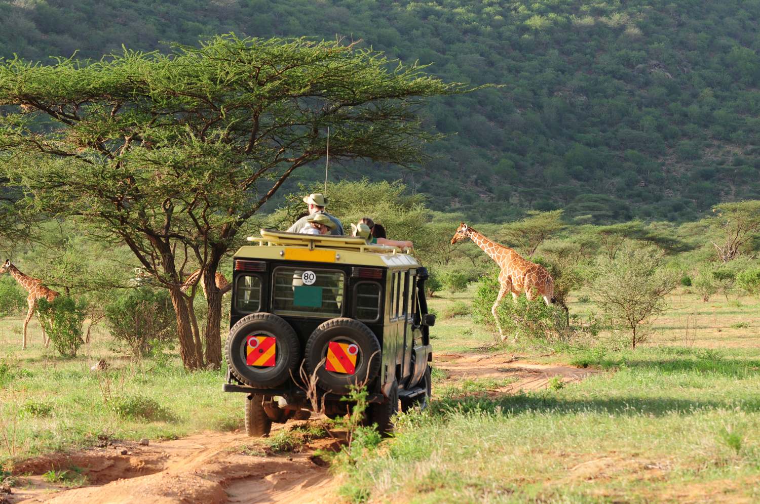 Safari tour vehicles crossing the savanna